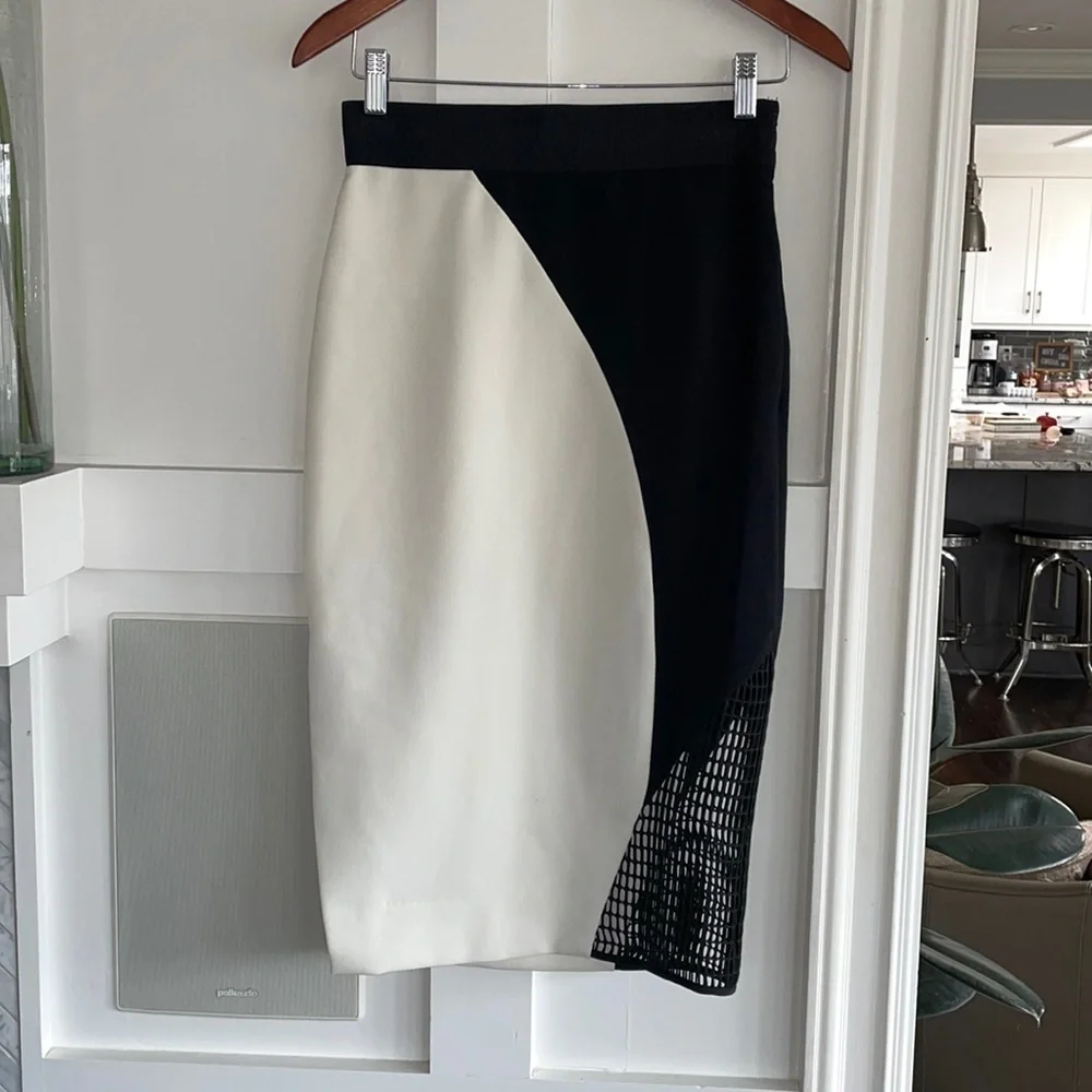 Milly Helix Mesh Skirt - Picture 5 of 15